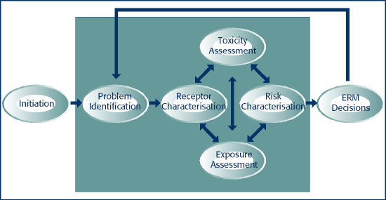 This is the framework for the ERA process.  The figure has links to each stage of the ERA.